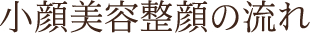 小顔美容整顔の流れ